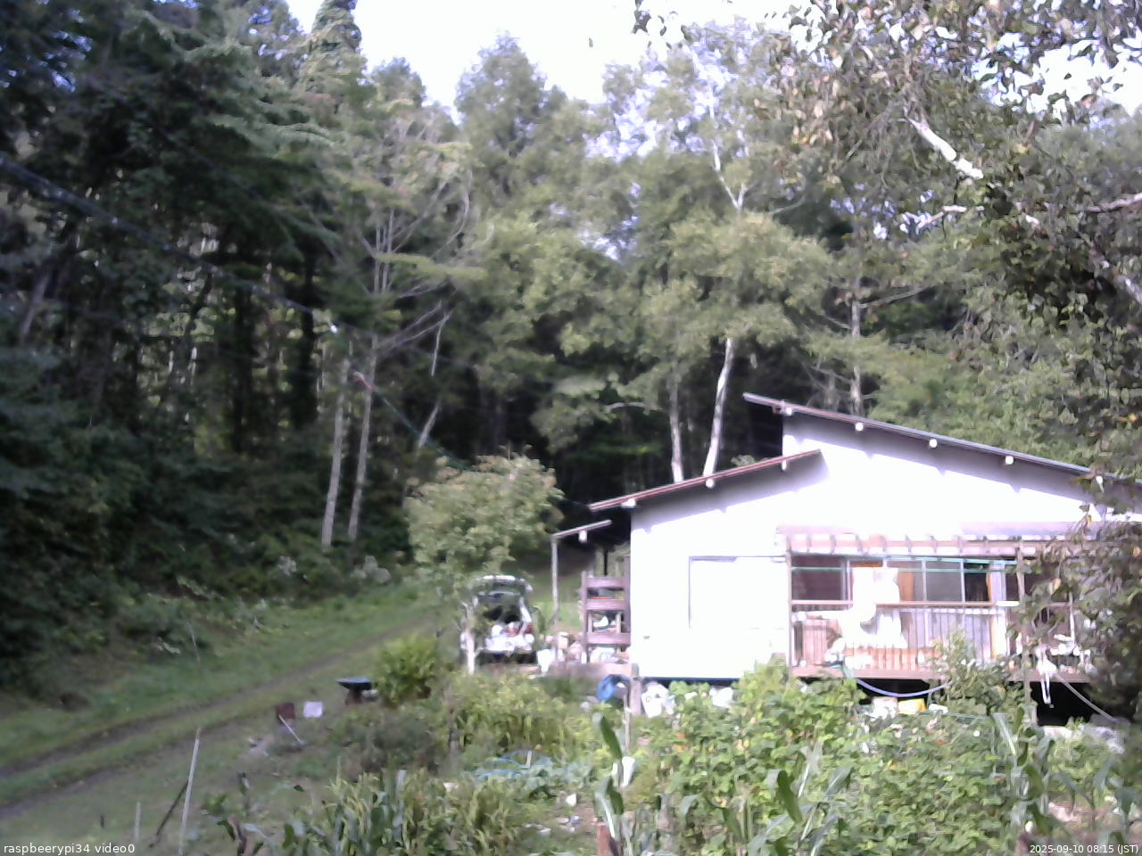 長野県菅平高原 ゆたか山荘 西側(坂上) 2025/09/10 08:15
