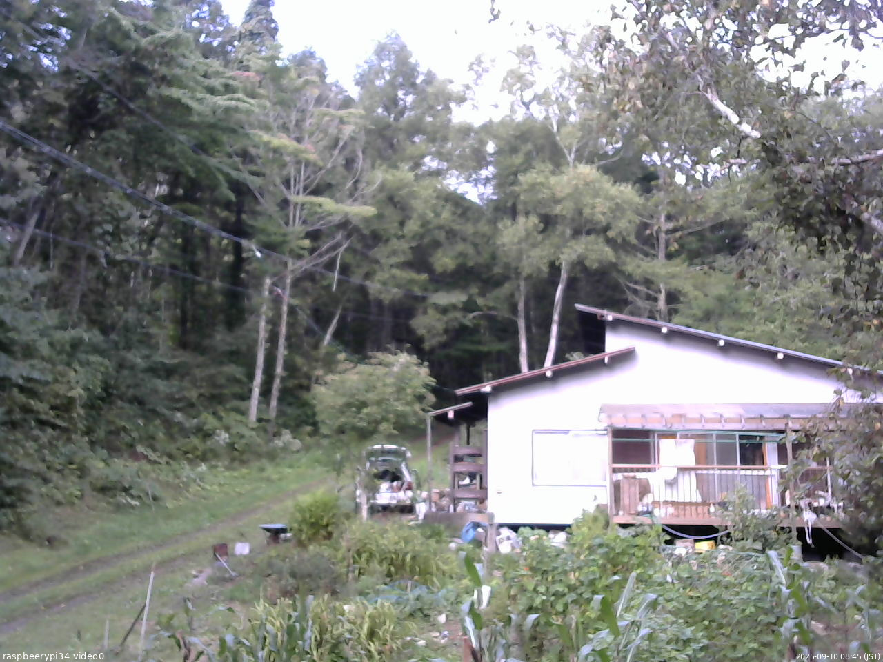 長野県菅平高原 ゆたか山荘 西側(坂上) 2025/09/10 08:45