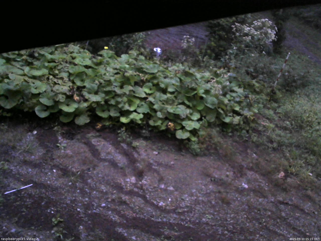 長野県菅平高原 ゆたか山荘 駐車場 2025/09/10 05:15
