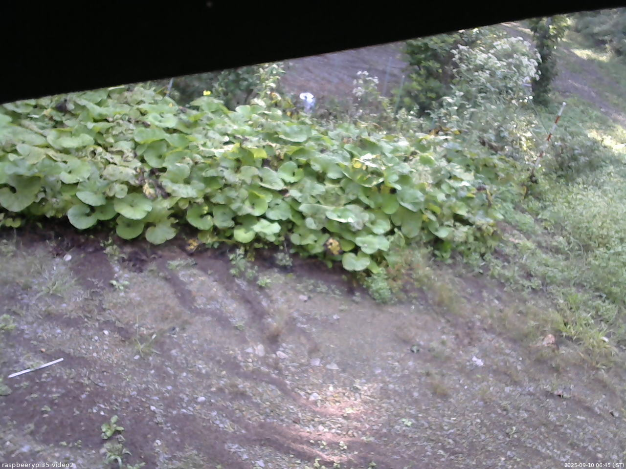 長野県菅平高原 ゆたか山荘 駐車場 2025/09/10 06:45
