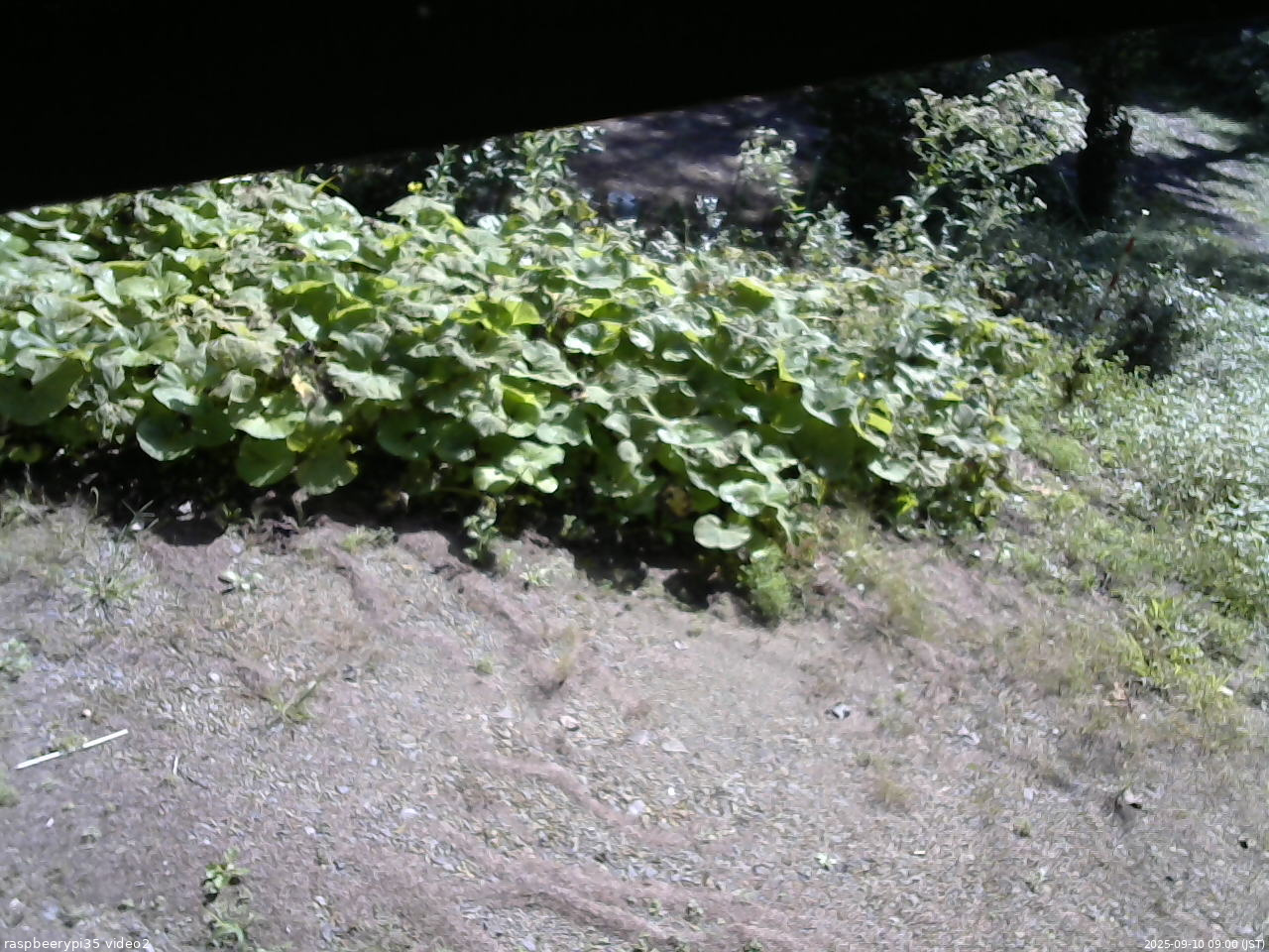 長野県菅平高原 ゆたか山荘 駐車場 2025/09/10 09:00