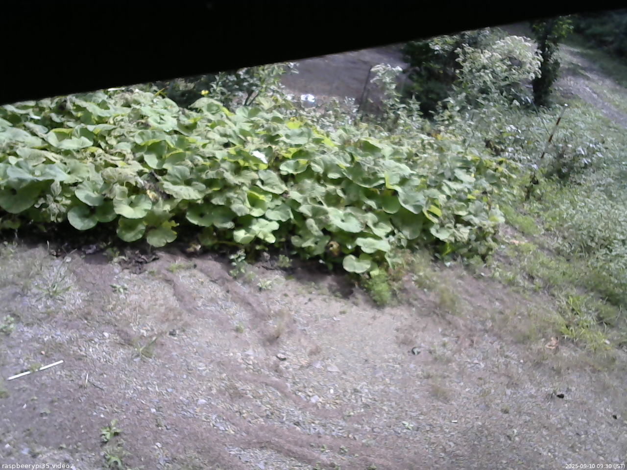 長野県菅平高原 ゆたか山荘 駐車場 2025/09/10 09:30