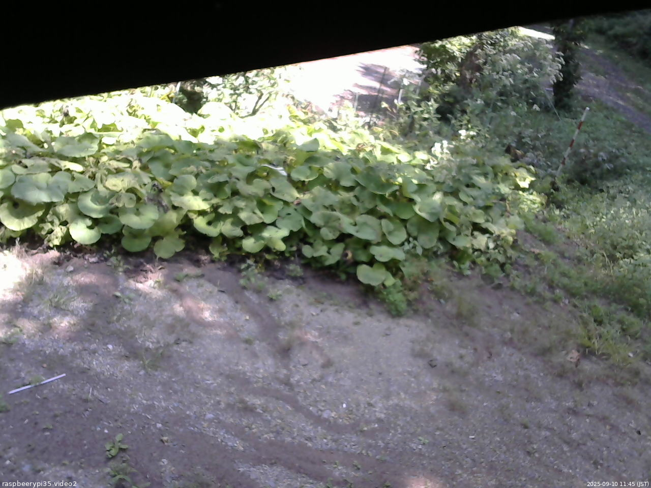 長野県菅平高原 ゆたか山荘 駐車場 2025/09/10 11:45