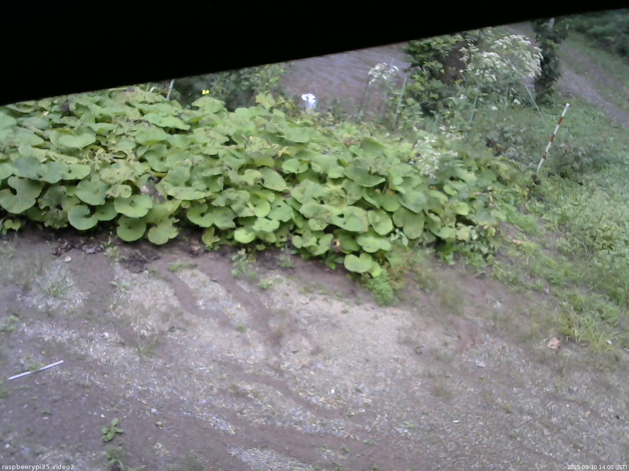 長野県菅平高原 ゆたか山荘 駐車場 2025/09/10 14:00
