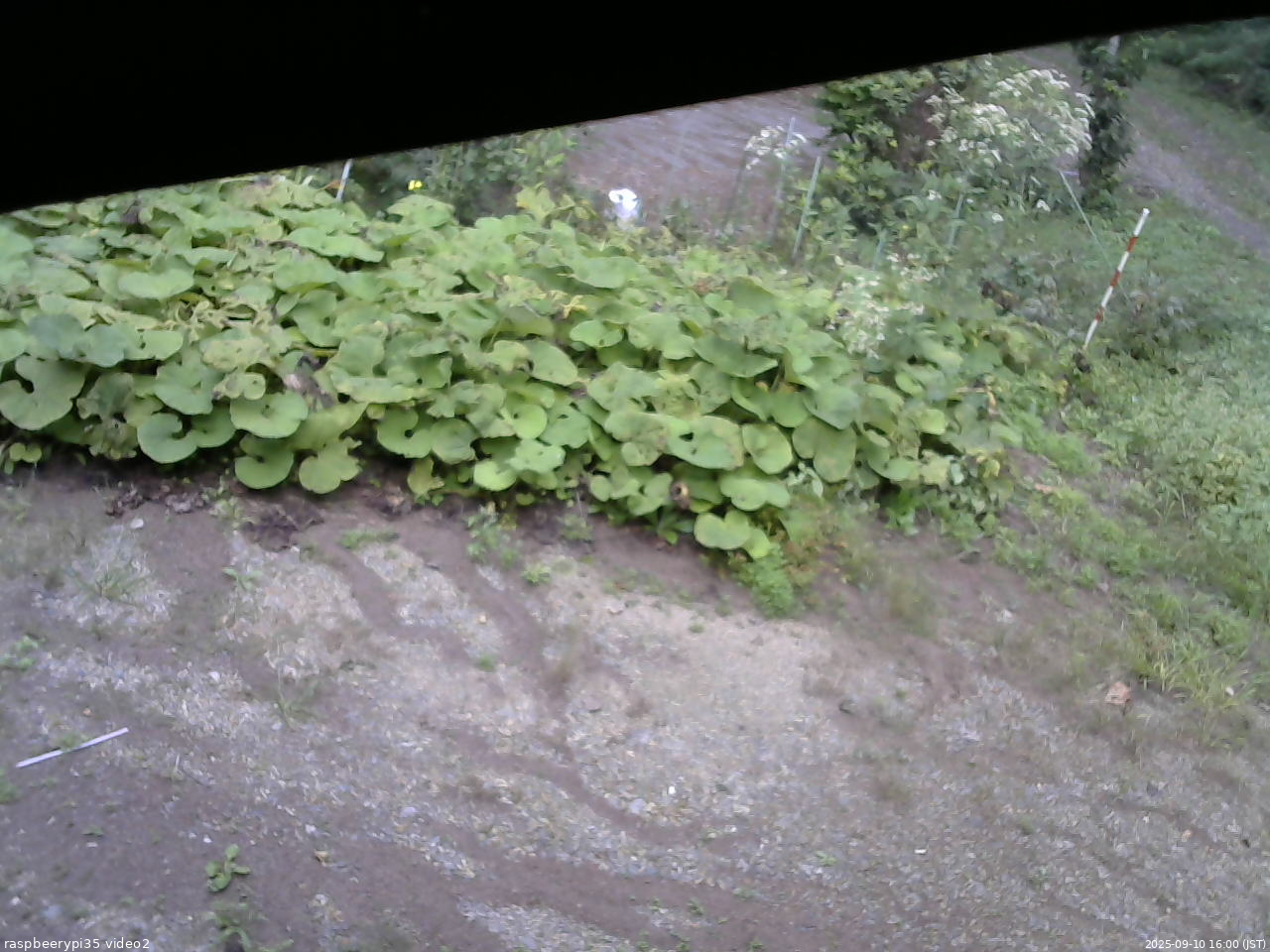 長野県菅平高原 ゆたか山荘 駐車場 2025/09/10 16:00