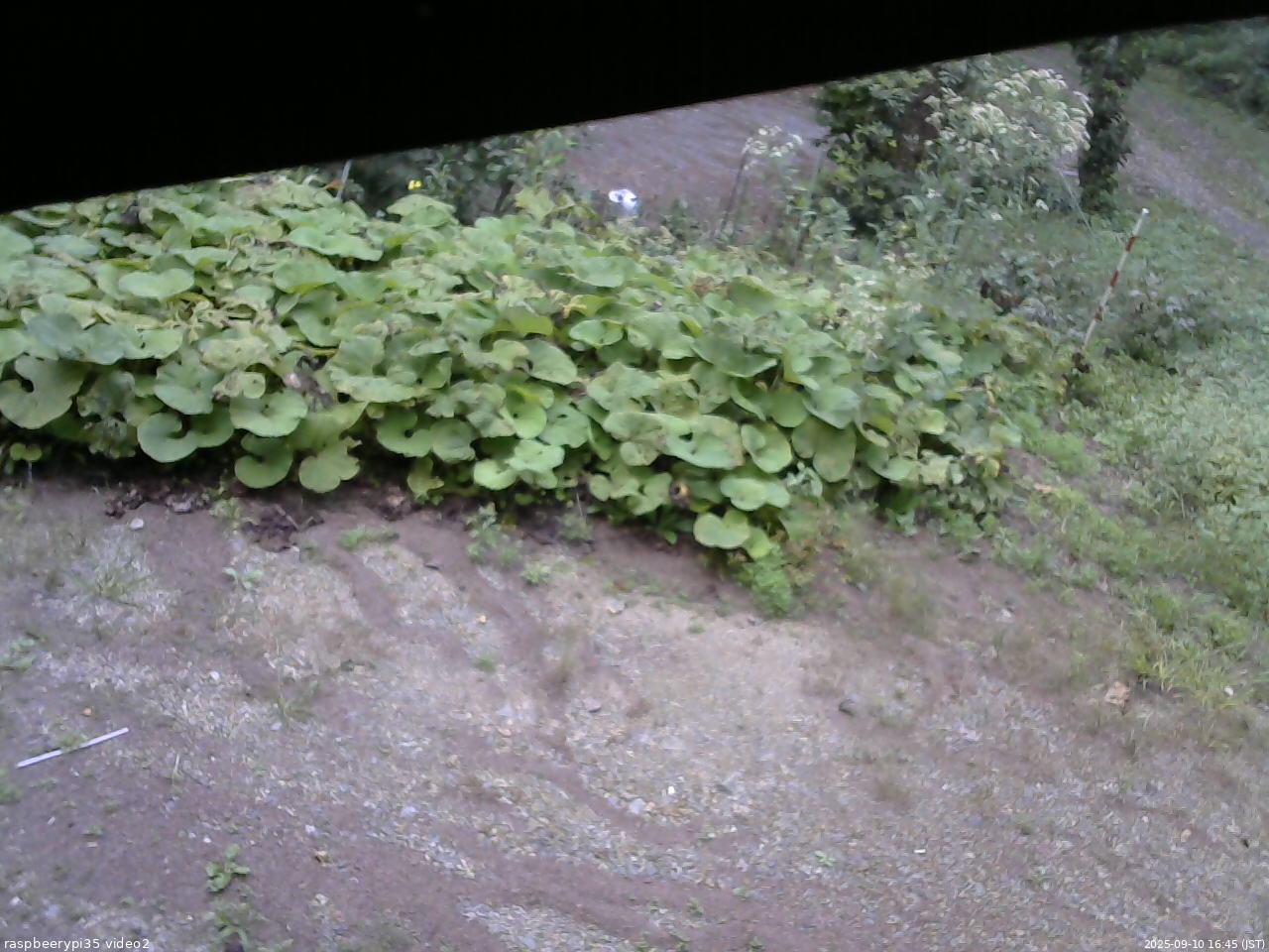長野県菅平高原 ゆたか山荘 駐車場 2025/09/10 16:45