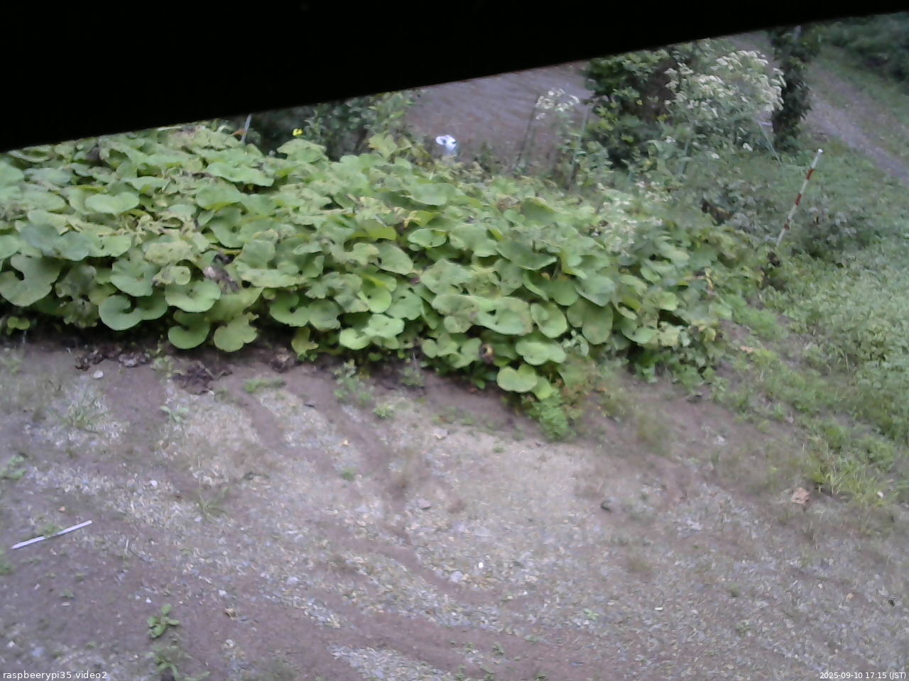 長野県菅平高原 ゆたか山荘 駐車場 2025/09/10 17:15