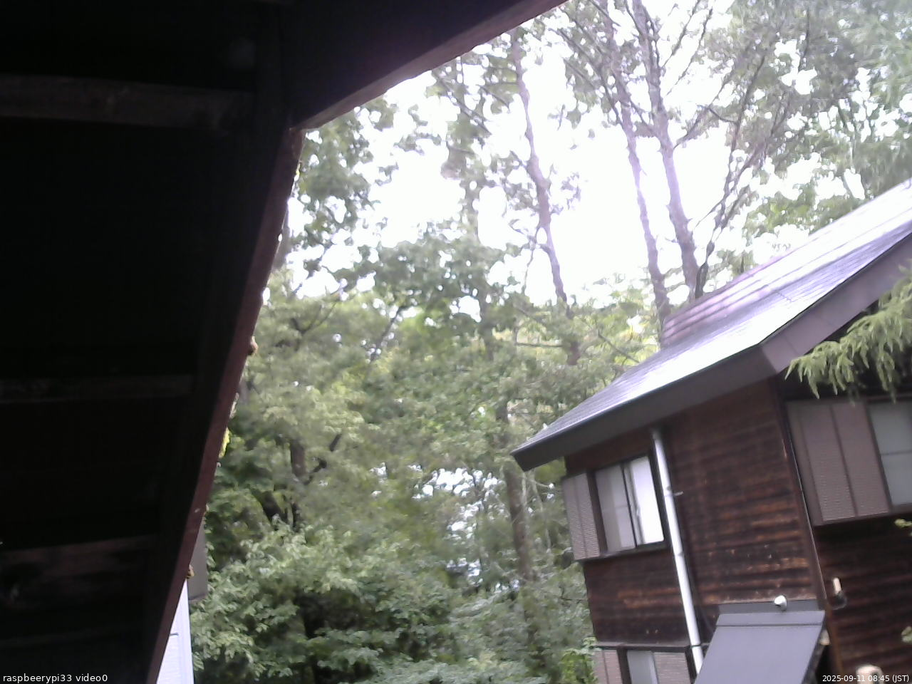 長野県菅平高原 ゆたか山荘 北側 2025/09/11 08:45