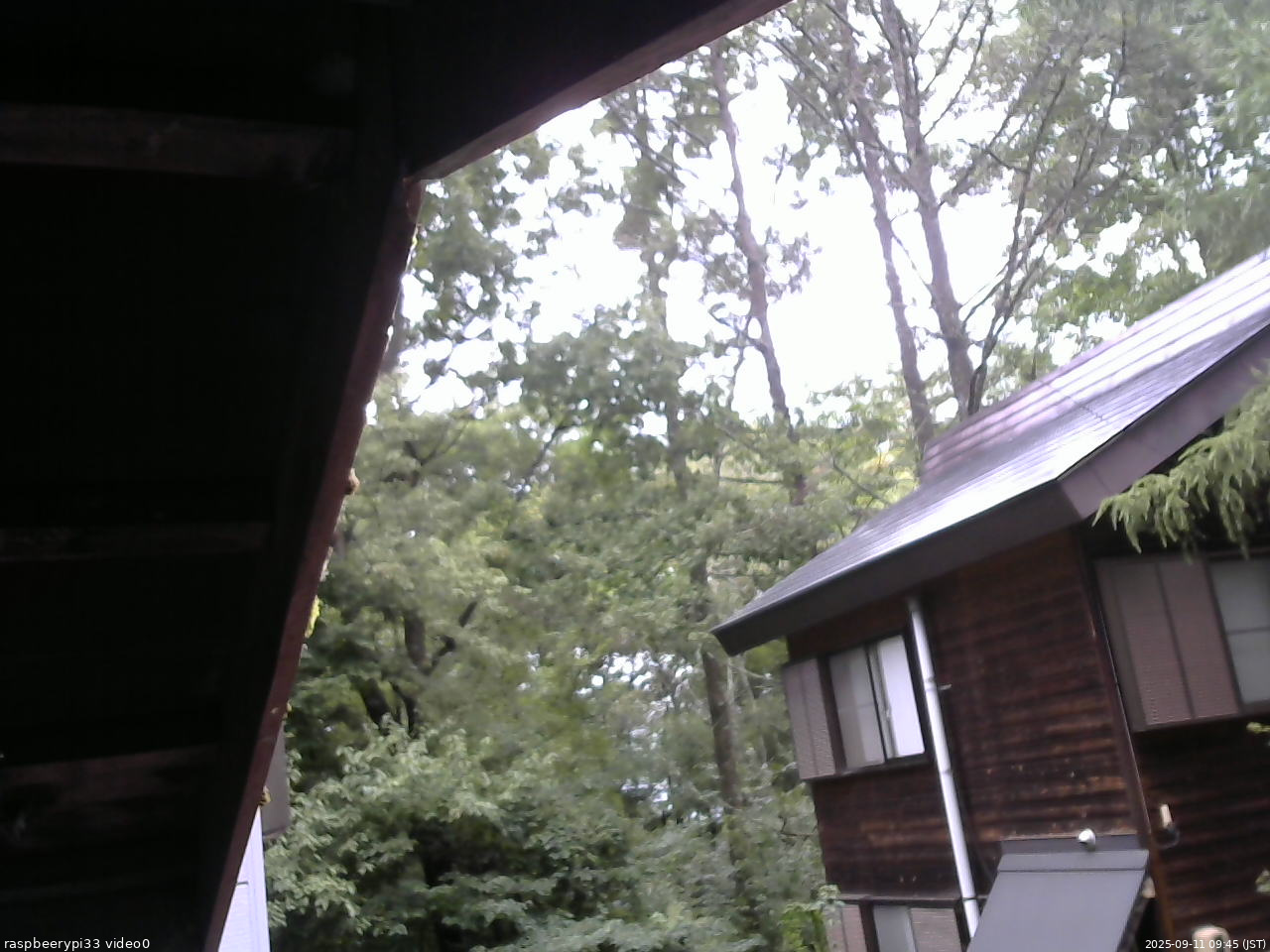 長野県菅平高原 ゆたか山荘 北側 2025/09/11 09:45