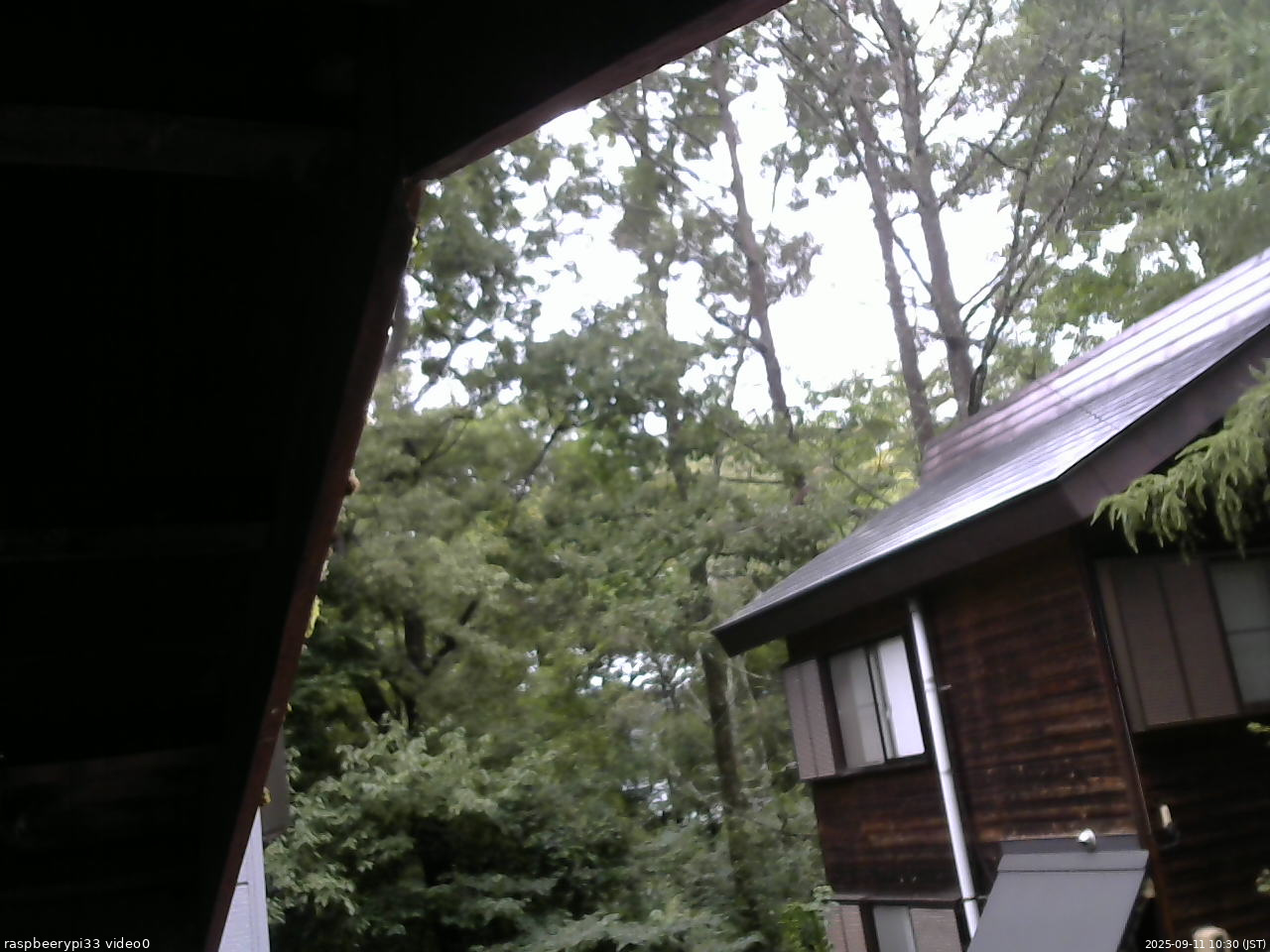 長野県菅平高原 ゆたか山荘 北側 2025/09/11 10:30