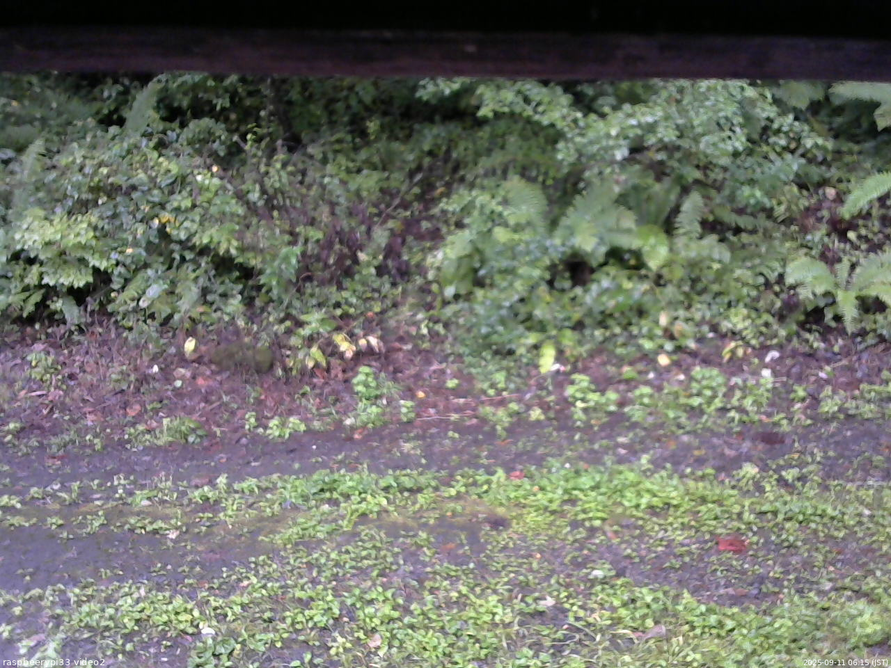長野県菅平高原 ゆたか山荘 南側 2025/09/11 06:15