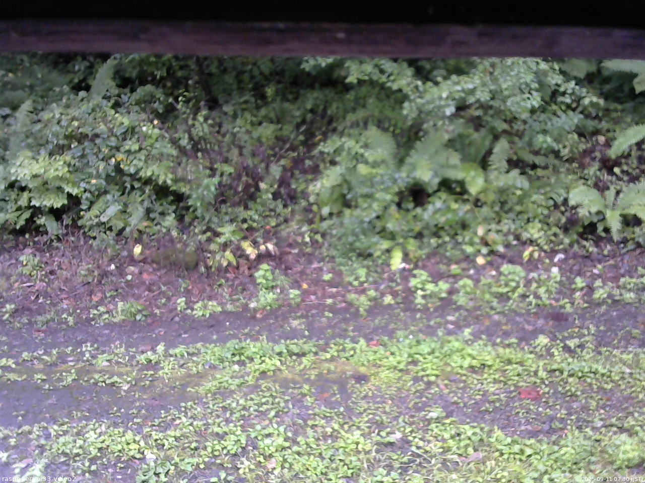 長野県菅平高原 ゆたか山荘 南側 2025/09/11 07:30
