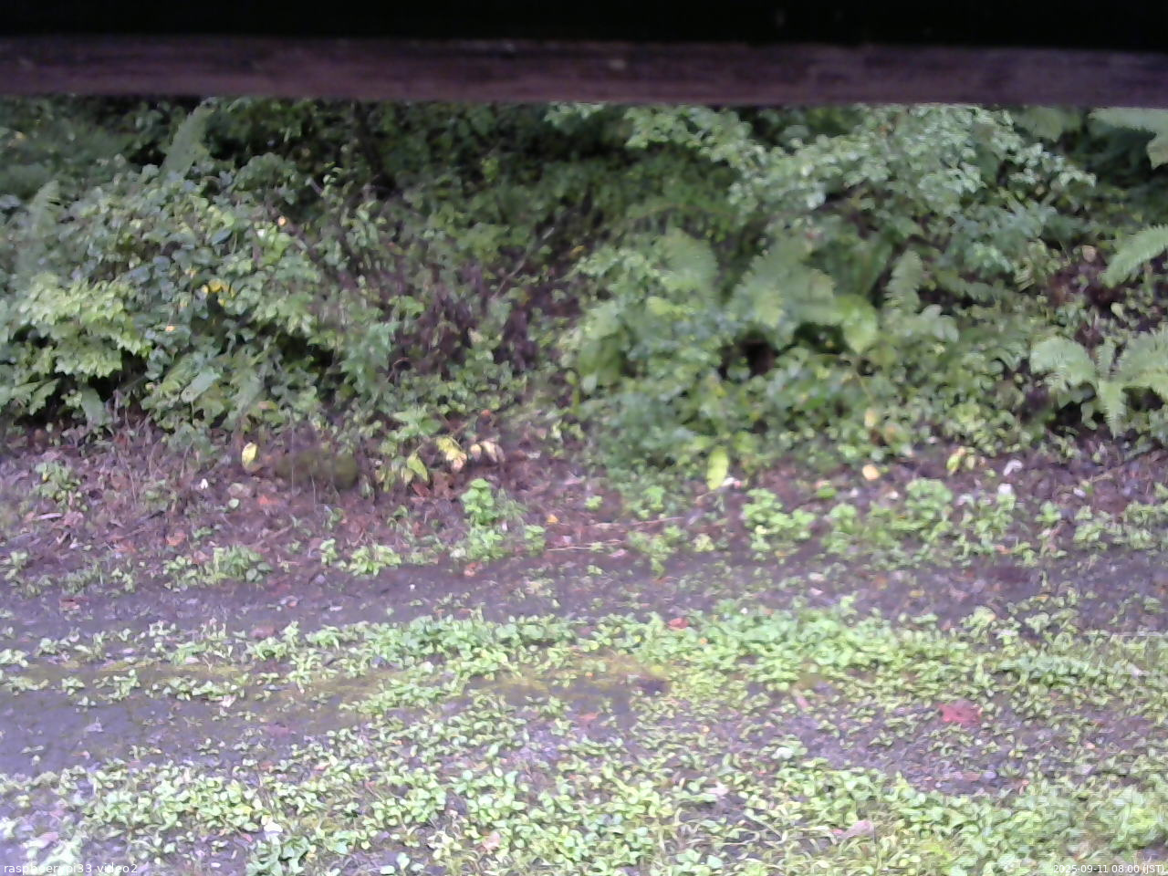長野県菅平高原 ゆたか山荘 南側 2025/09/11 08:00