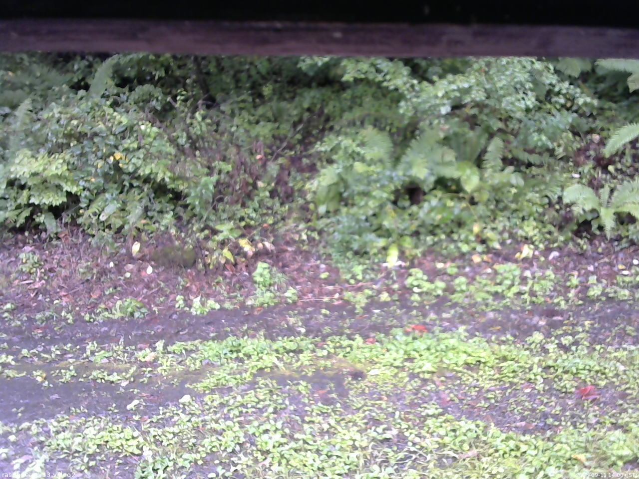 長野県菅平高原 ゆたか山荘 南側 2025/09/11 14:00