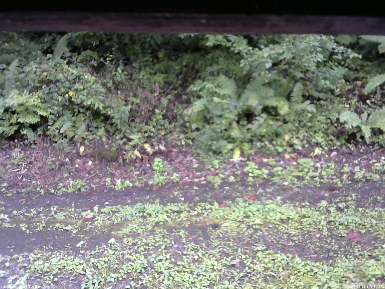 長野県菅平高原 ゆたか山荘 南側 2025/09/11 14:45