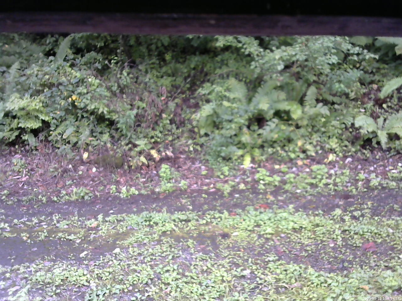 長野県菅平高原 ゆたか山荘 南側 2025/09/11 15:15