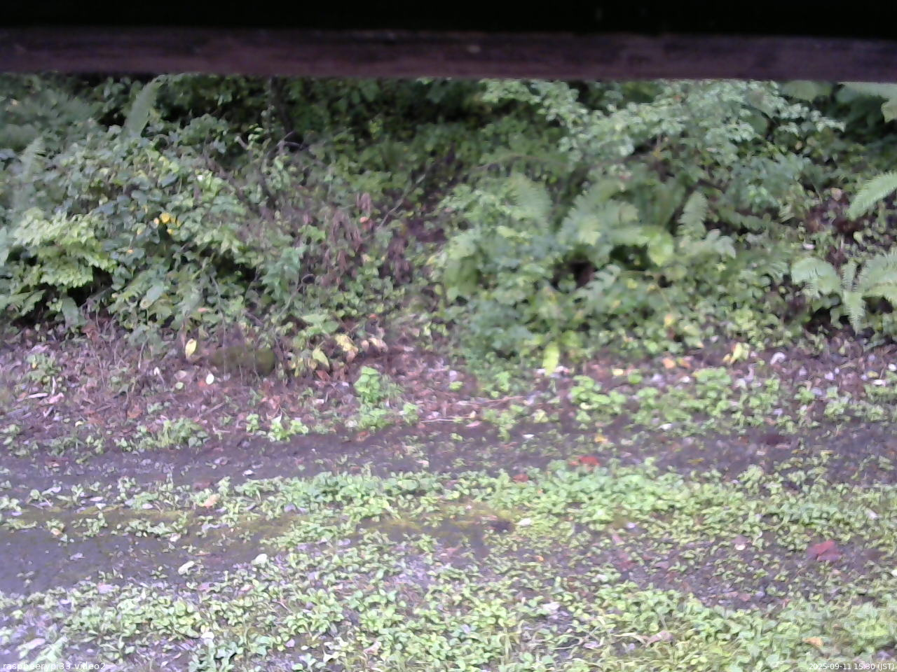 長野県菅平高原 ゆたか山荘 南側 2025/09/11 15:30
