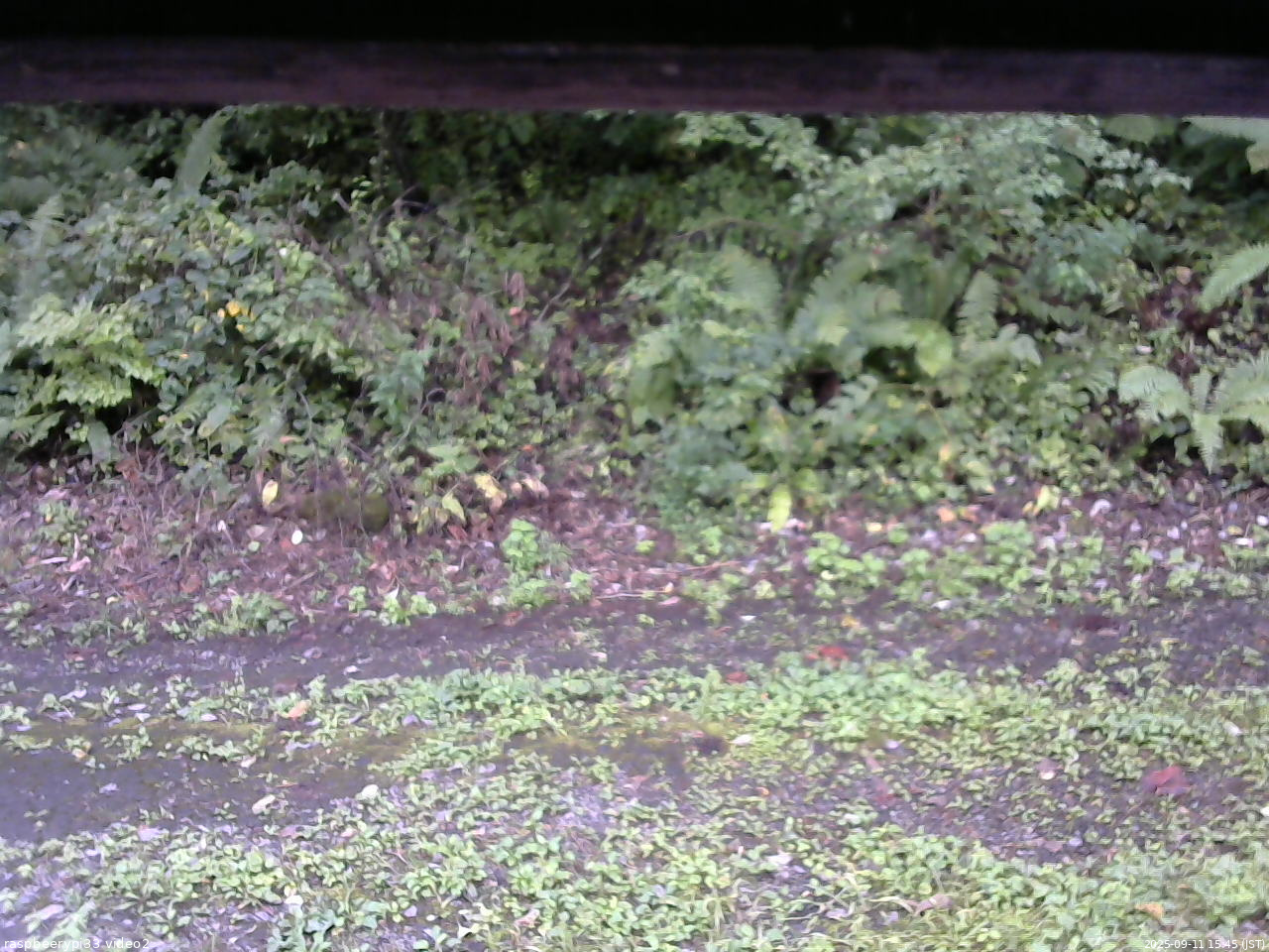 長野県菅平高原 ゆたか山荘 南側 2025/09/11 15:45