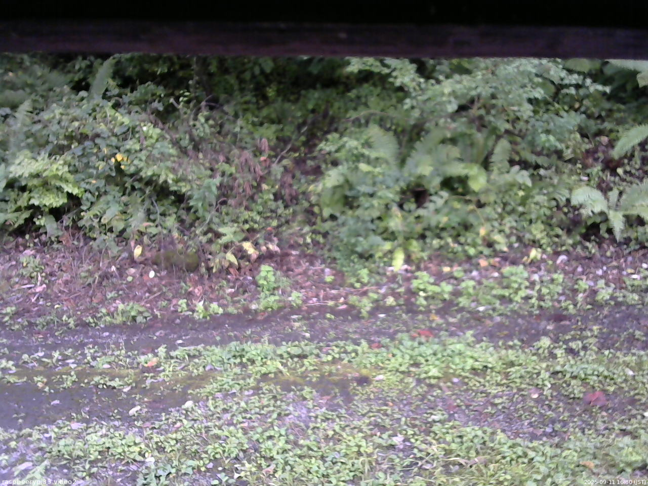 長野県菅平高原 ゆたか山荘 南側 2025/09/11 16:30