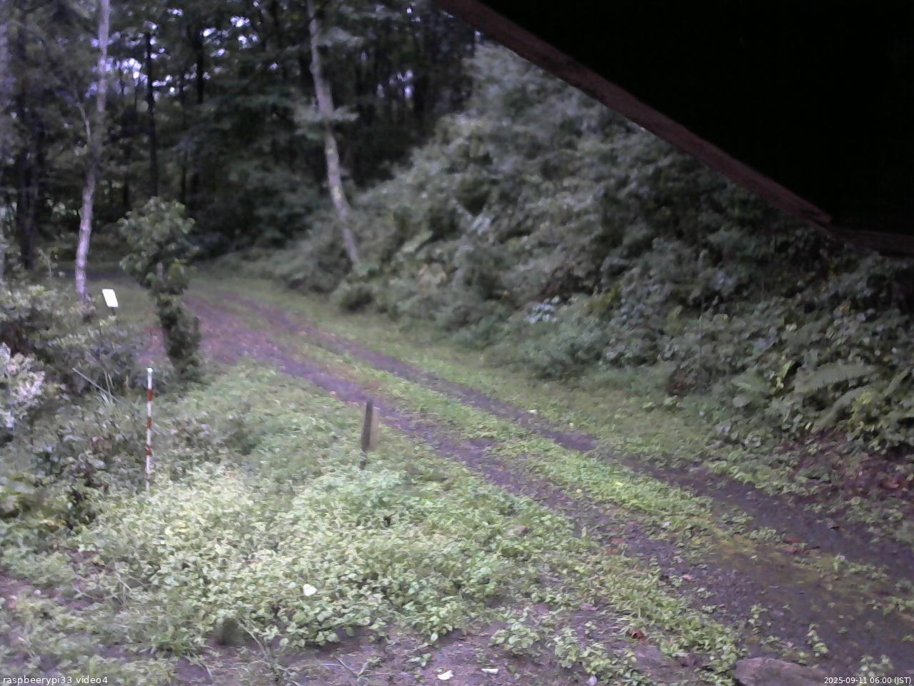 長野県菅平高原 ゆたか山荘 東側(坂下) 2025/09/11 06:00