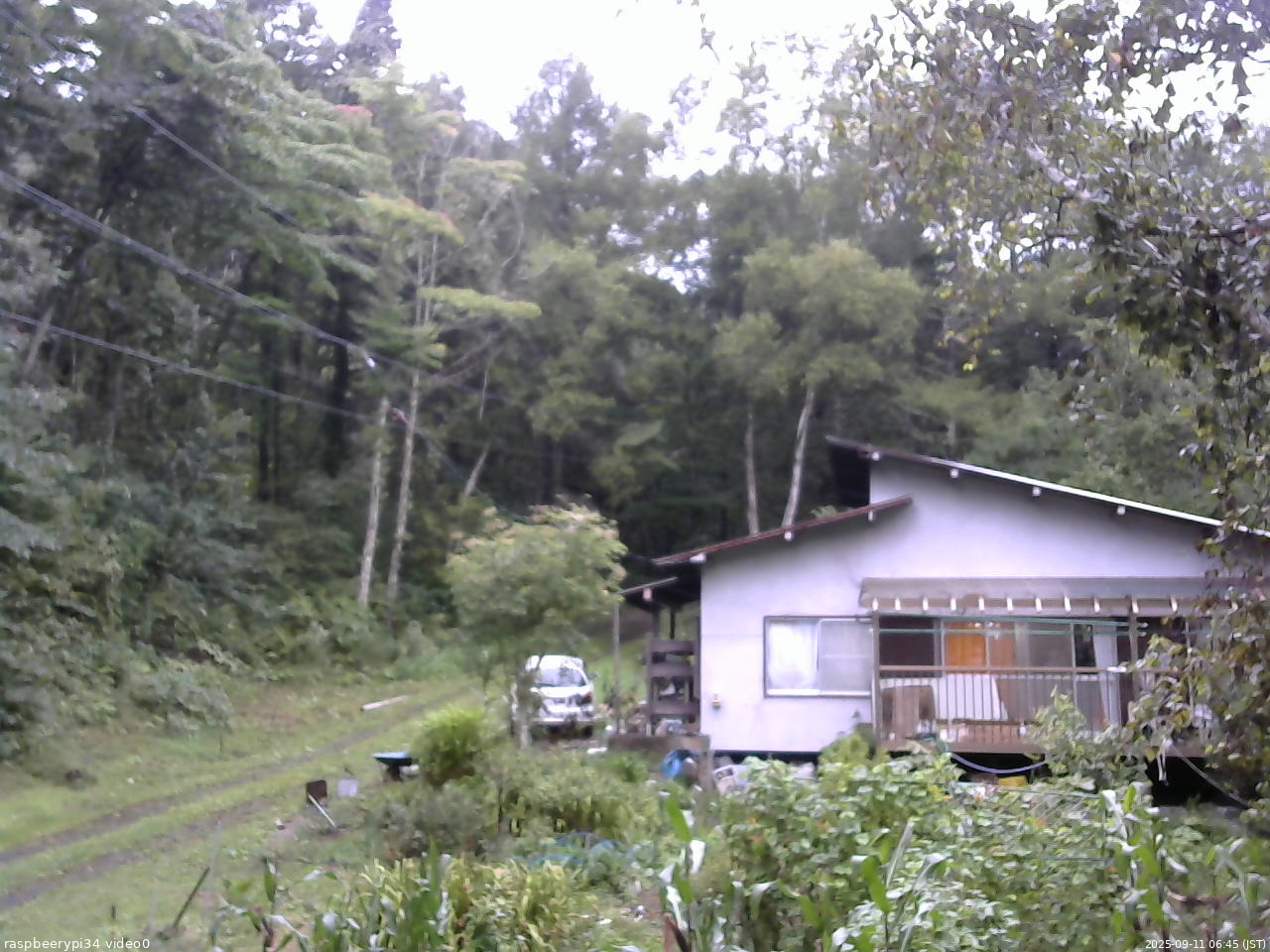 長野県菅平高原 ゆたか山荘 西側(坂上) 2025/09/11 06:45