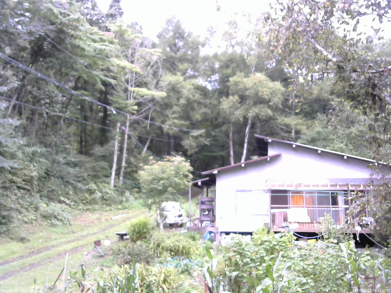 長野県菅平高原 ゆたか山荘 西側(坂上) 2025/09/11 09:45