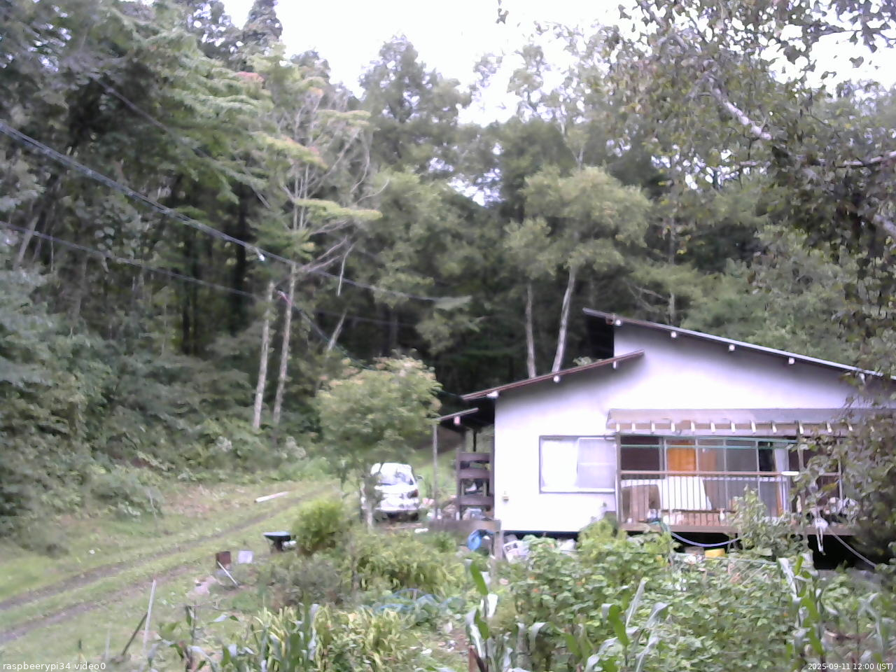 長野県菅平高原 ゆたか山荘 西側(坂上) 2025/09/11 12:00