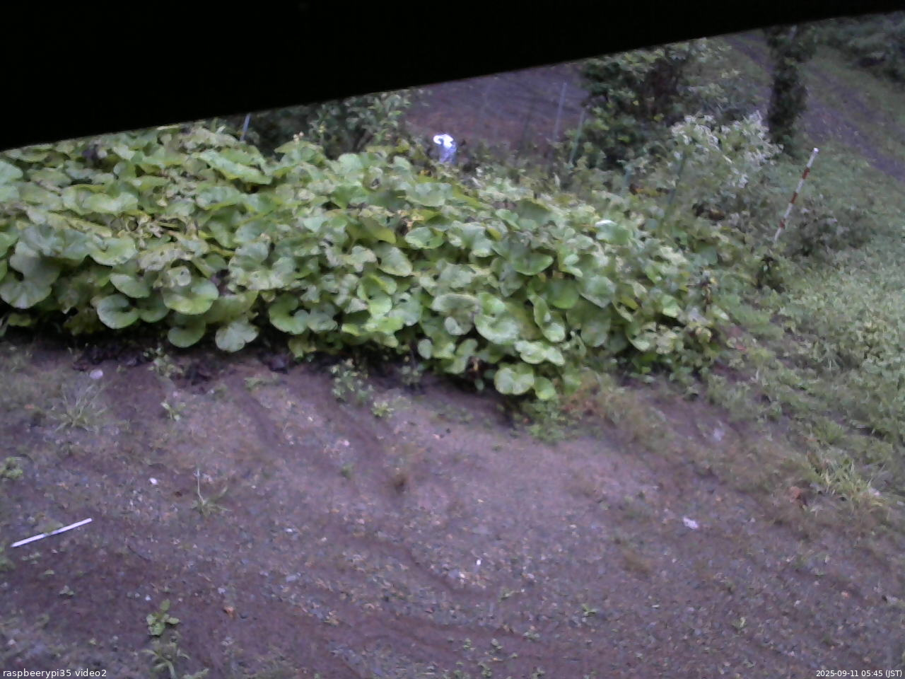 長野県菅平高原 ゆたか山荘 駐車場 2025/09/11 05:45