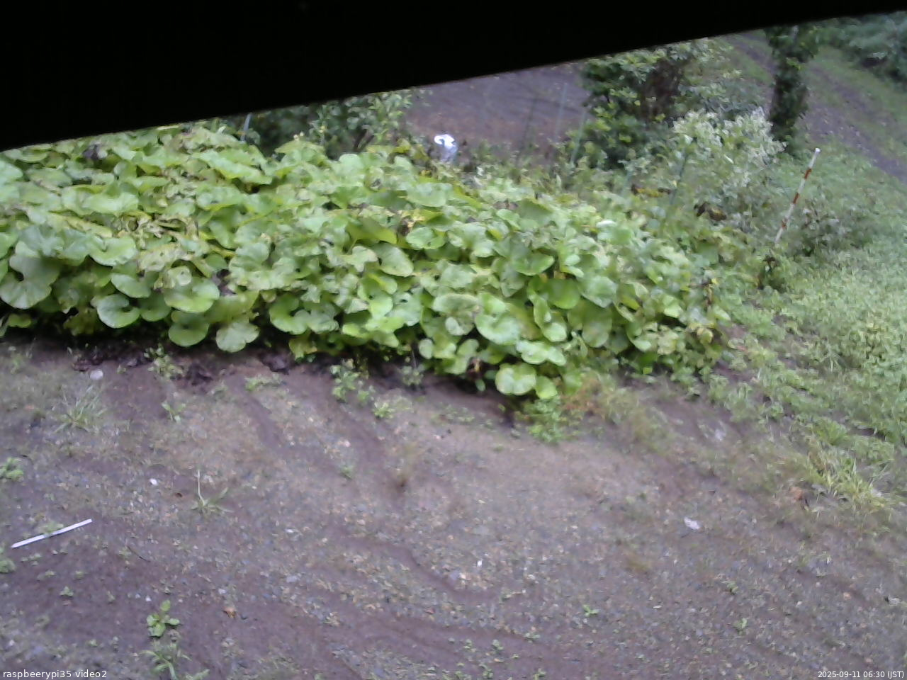 長野県菅平高原 ゆたか山荘 駐車場 2025/09/11 06:30