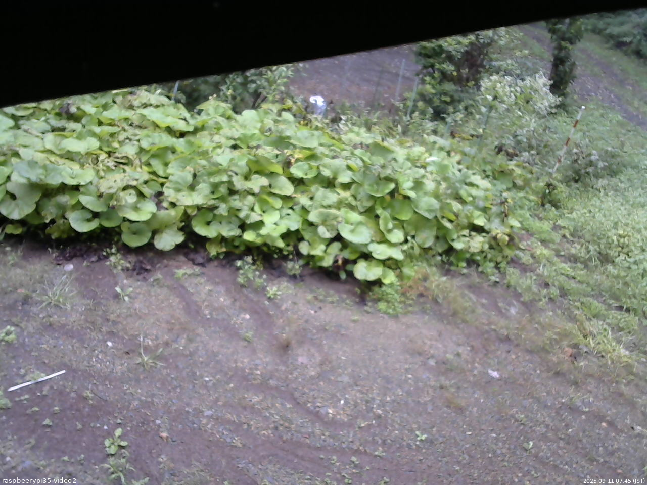長野県菅平高原 ゆたか山荘 駐車場 2025/09/11 07:45
