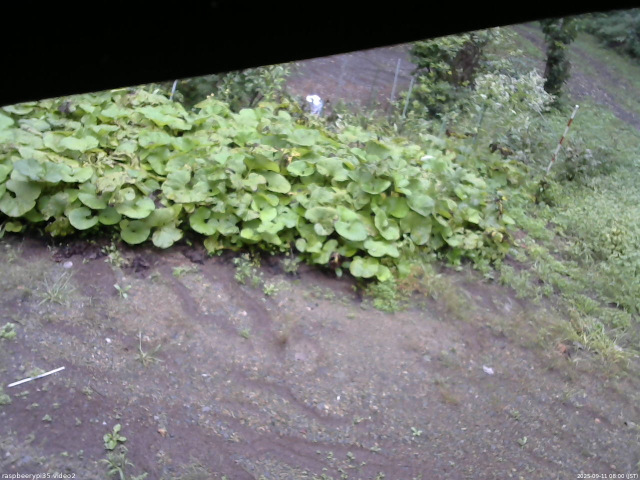 長野県菅平高原 ゆたか山荘 駐車場 2025/09/11 08:00