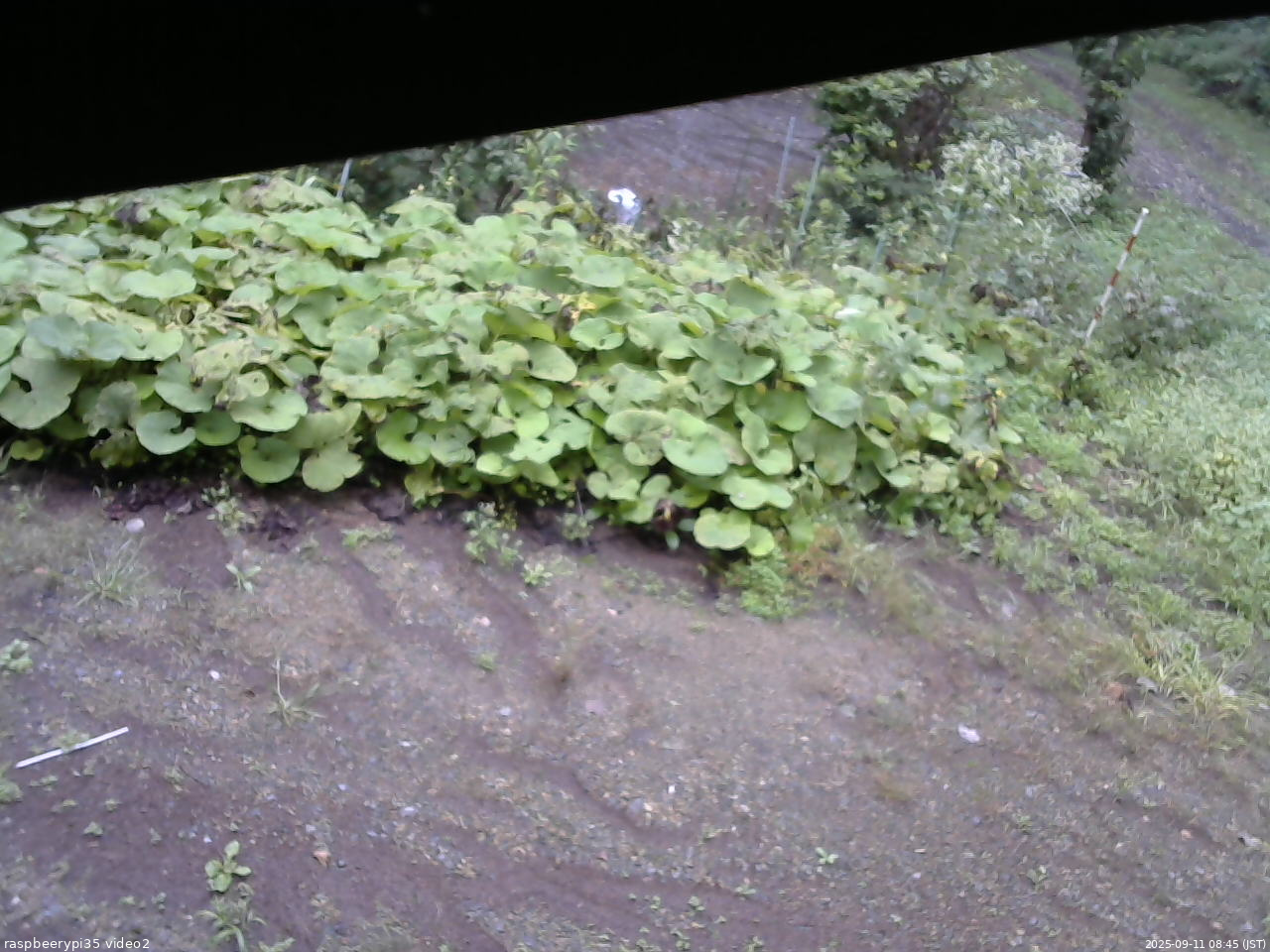 長野県菅平高原 ゆたか山荘 駐車場 2025/09/11 08:45