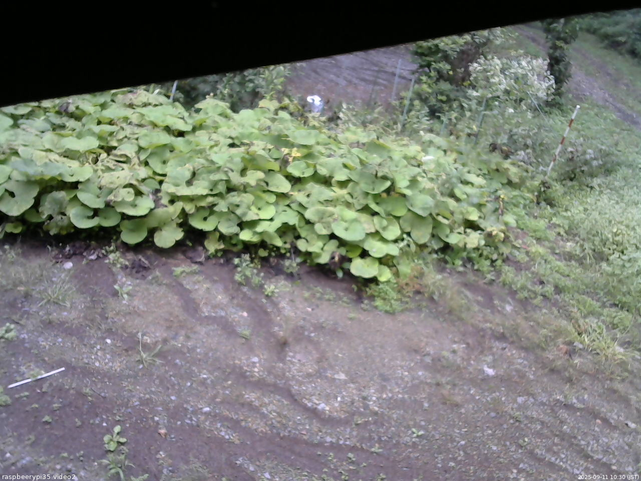 長野県菅平高原 ゆたか山荘 駐車場 2025/09/11 10:30