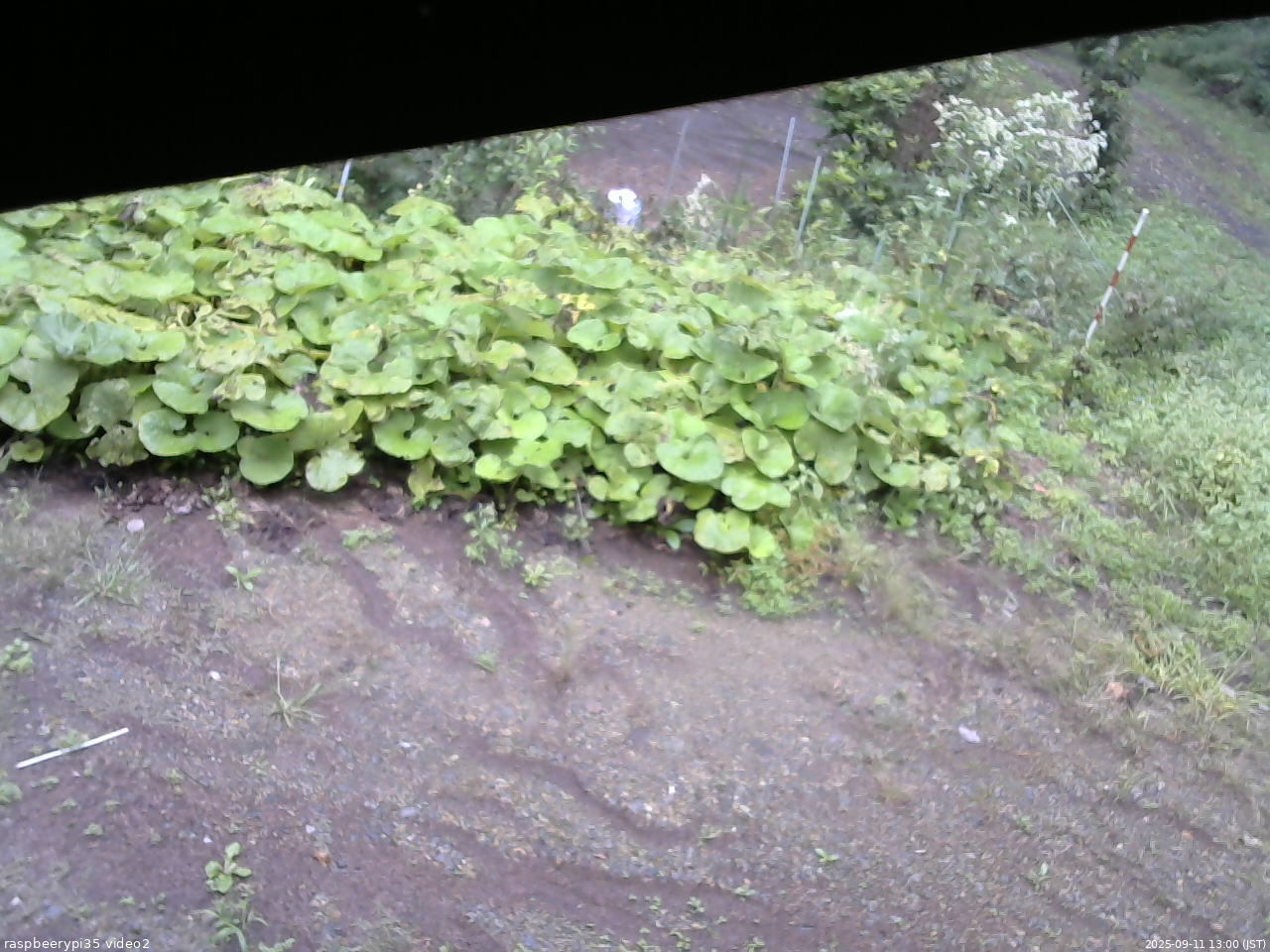 長野県菅平高原 ゆたか山荘 駐車場 2025/09/11 13:00