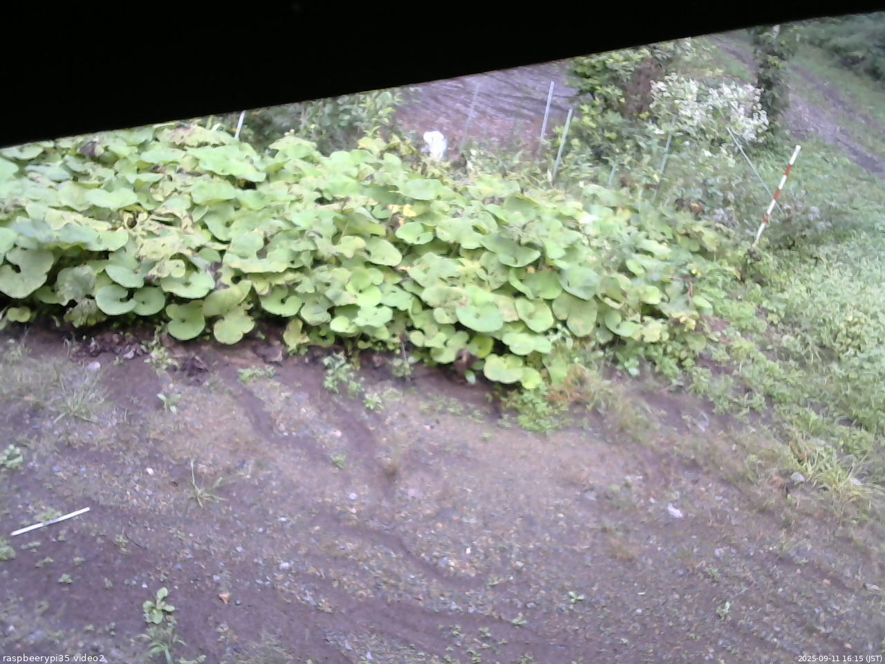 長野県菅平高原 ゆたか山荘 駐車場 2025/09/11 16:15