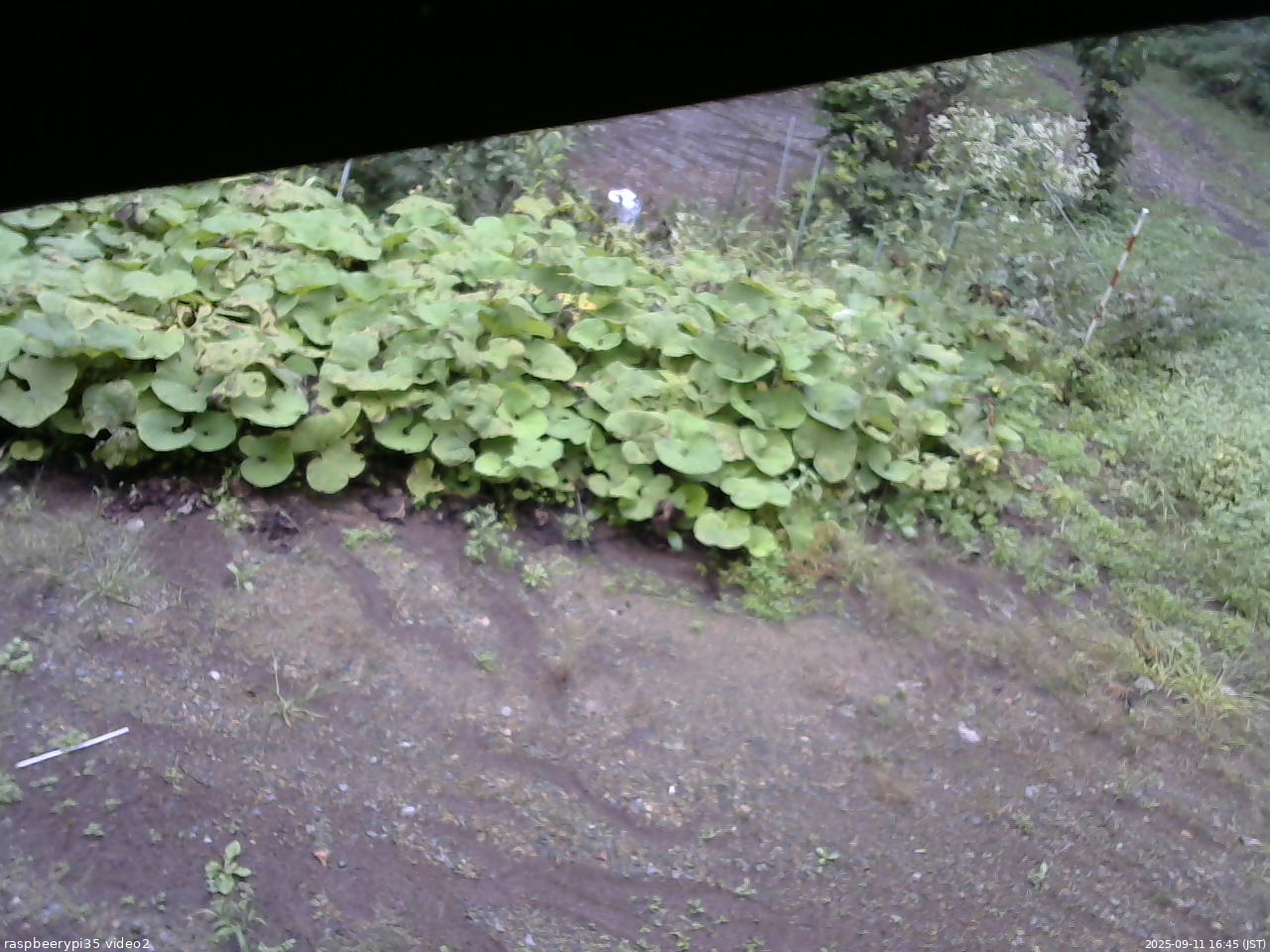 長野県菅平高原 ゆたか山荘 駐車場 2025/09/11 16:45