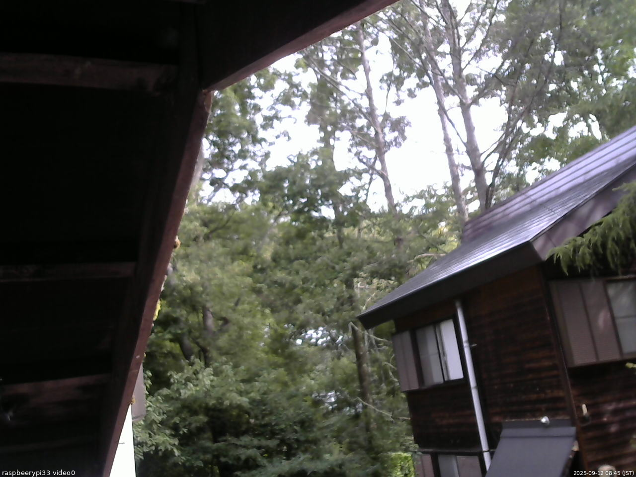 長野県菅平高原 ゆたか山荘 北側 2025/09/12 08:45