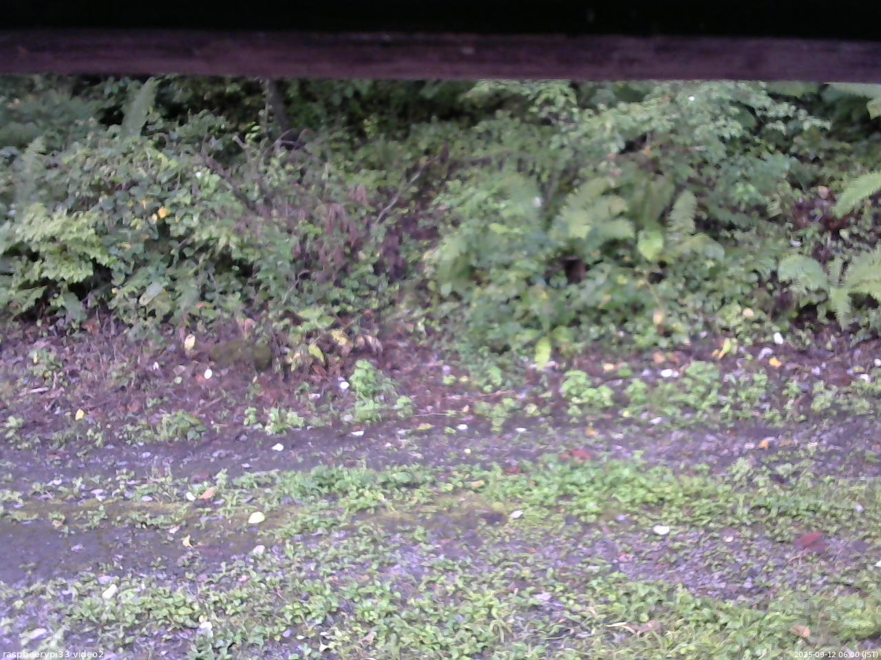 長野県菅平高原 ゆたか山荘 南側 2025/09/12 06:00