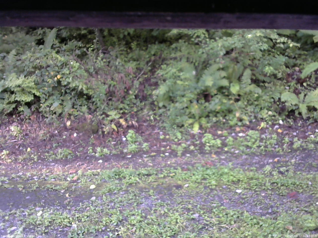 長野県菅平高原 ゆたか山荘 南側 2025/09/12 06:15