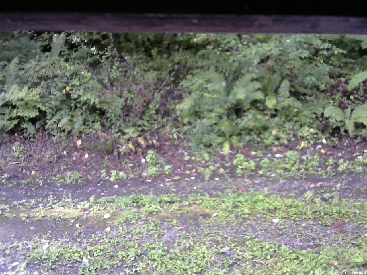 長野県菅平高原 ゆたか山荘 南側 2025/09/12 06:45
