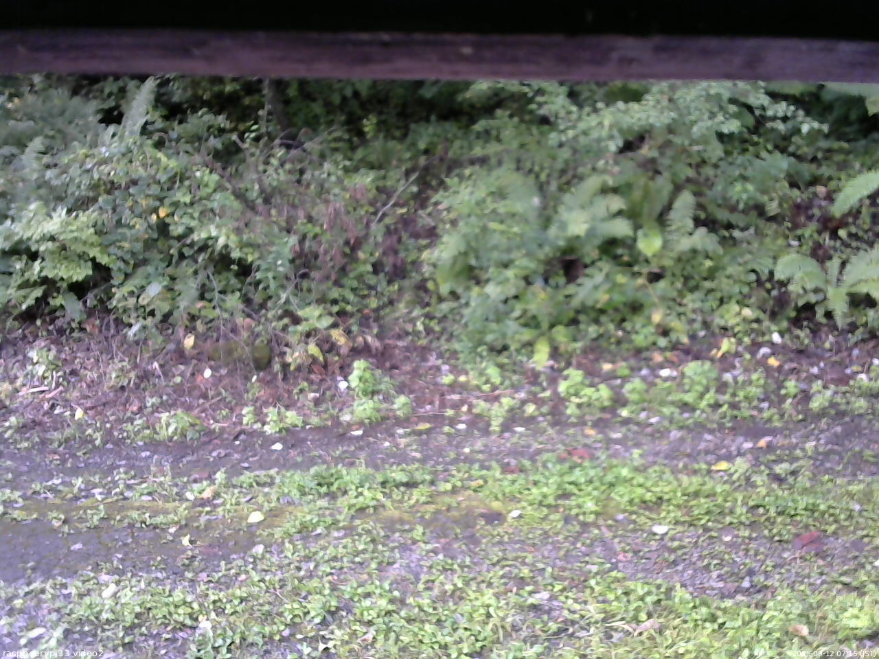 長野県菅平高原 ゆたか山荘 南側 2025/09/12 07:15
