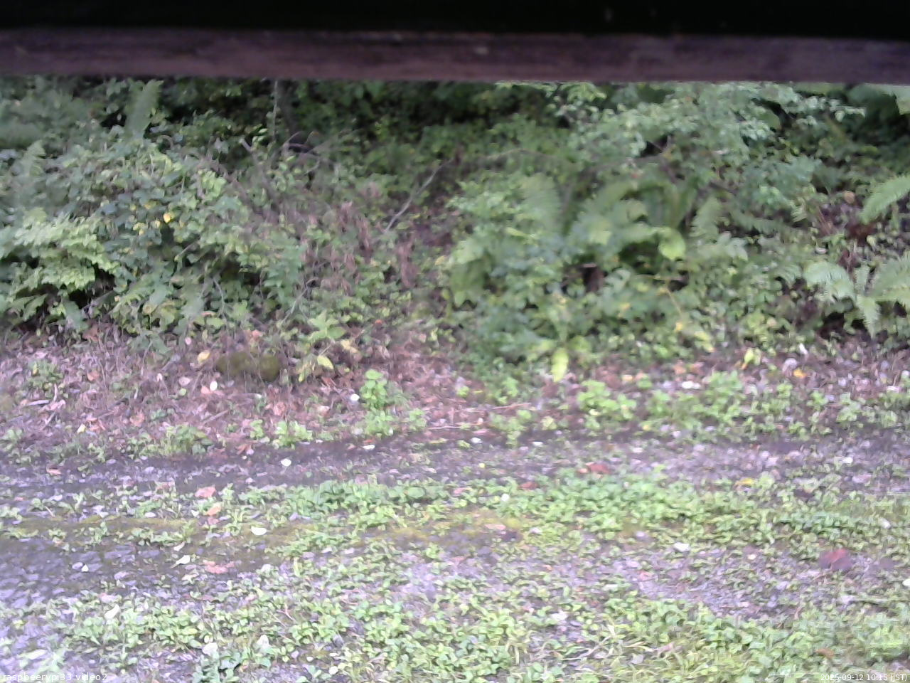 長野県菅平高原 ゆたか山荘 南側 2025/09/12 10:15