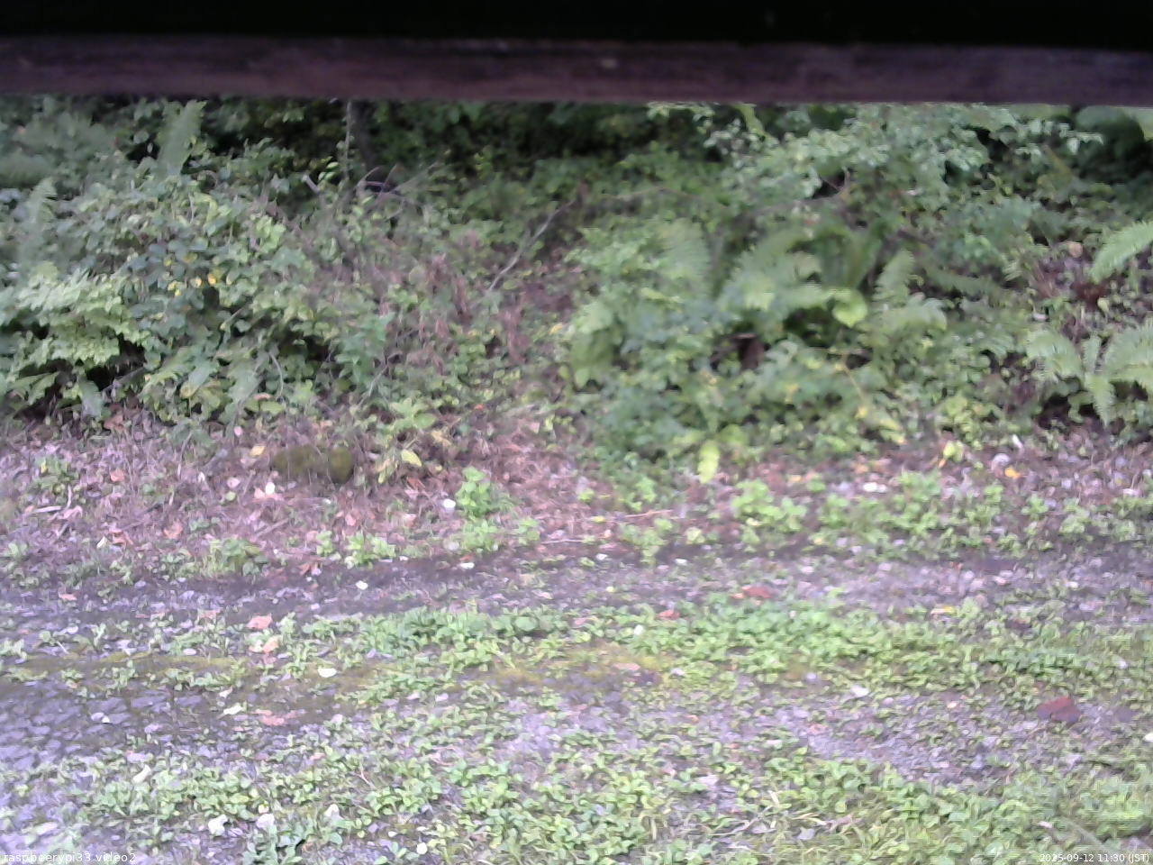 長野県菅平高原 ゆたか山荘 南側 2025/09/12 11:30