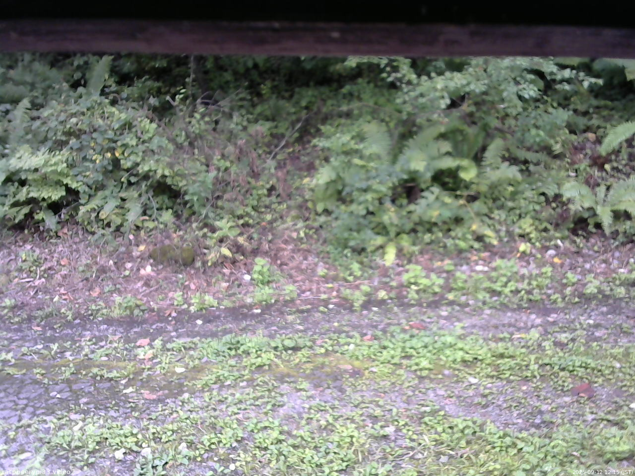 長野県菅平高原 ゆたか山荘 南側 2025/09/12 12:15