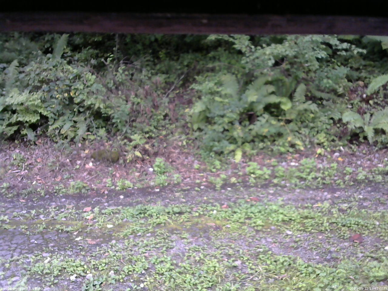 長野県菅平高原 ゆたか山荘 南側 2025/09/12 13:45