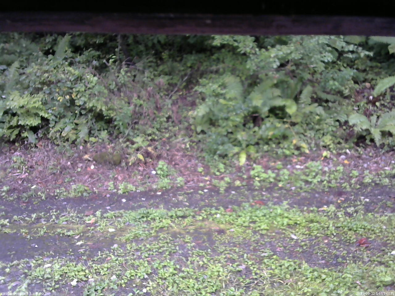 長野県菅平高原 ゆたか山荘 南側 2025/09/12 14:15