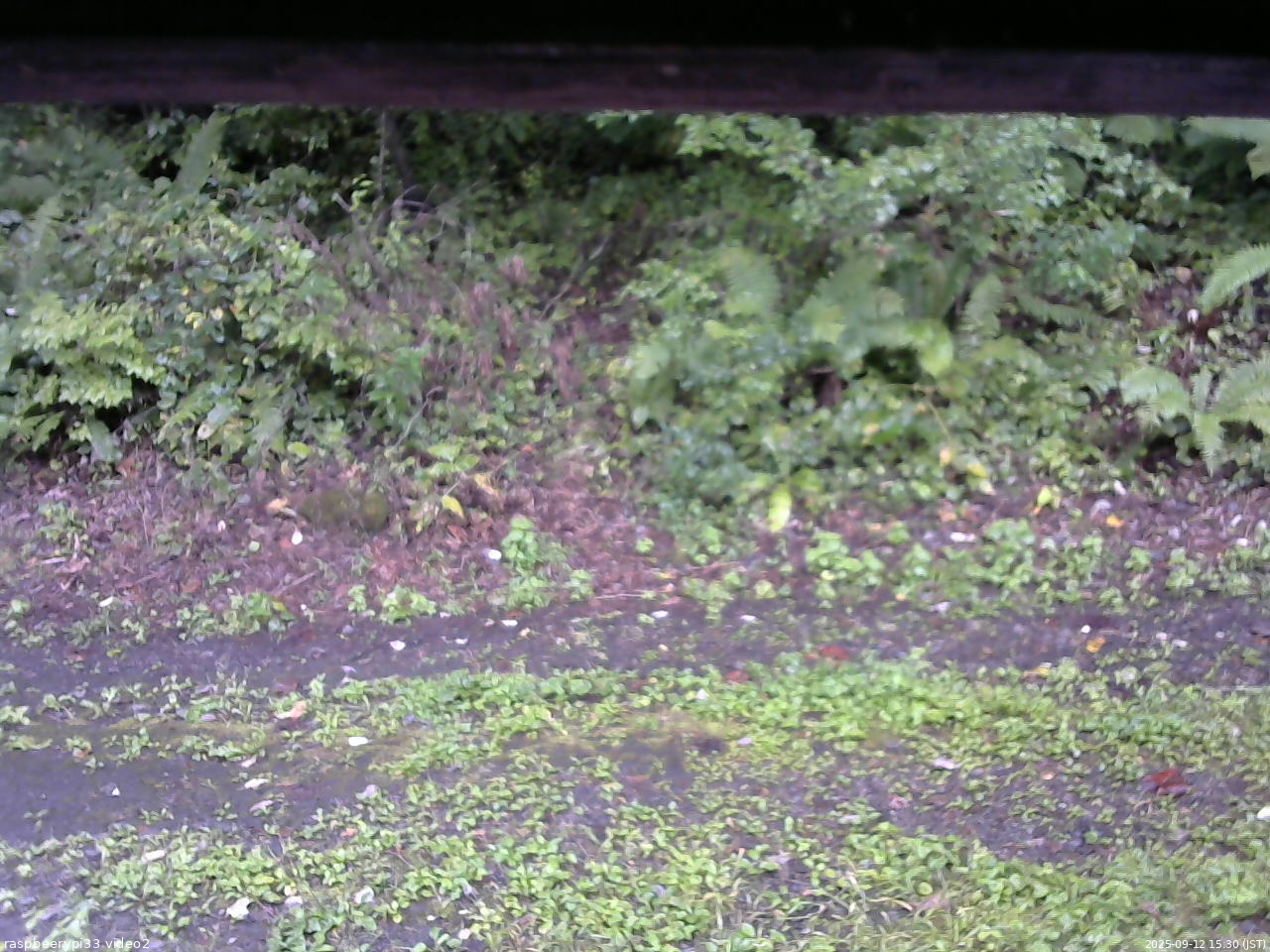 長野県菅平高原 ゆたか山荘 南側 2025/09/12 15:30