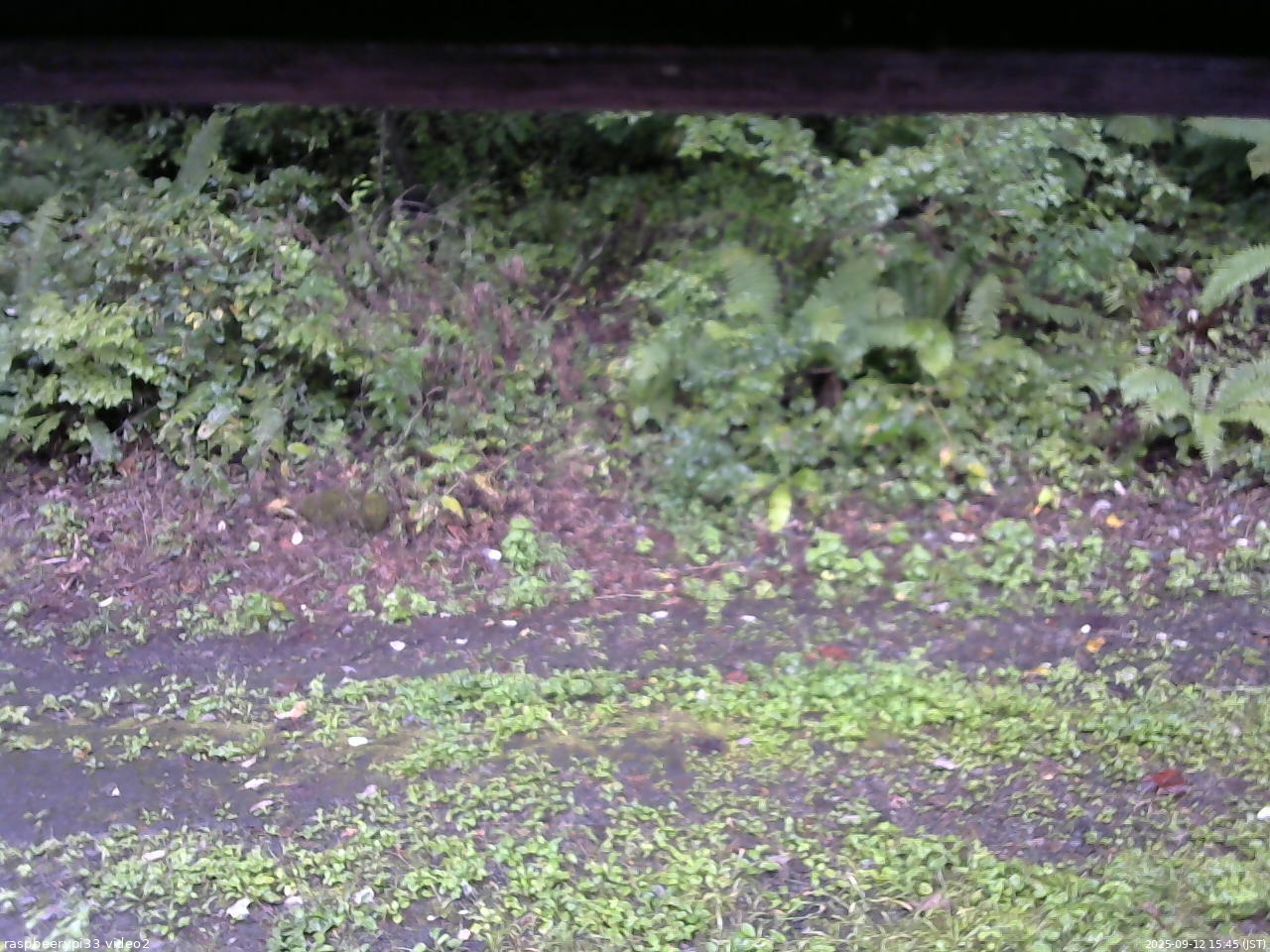 長野県菅平高原 ゆたか山荘 南側 2025/09/12 15:45