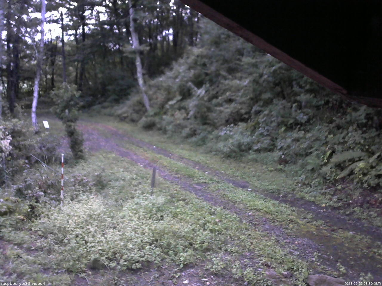 長野県菅平高原 ゆたか山荘 東側(坂下) 2025/09/12 05:30