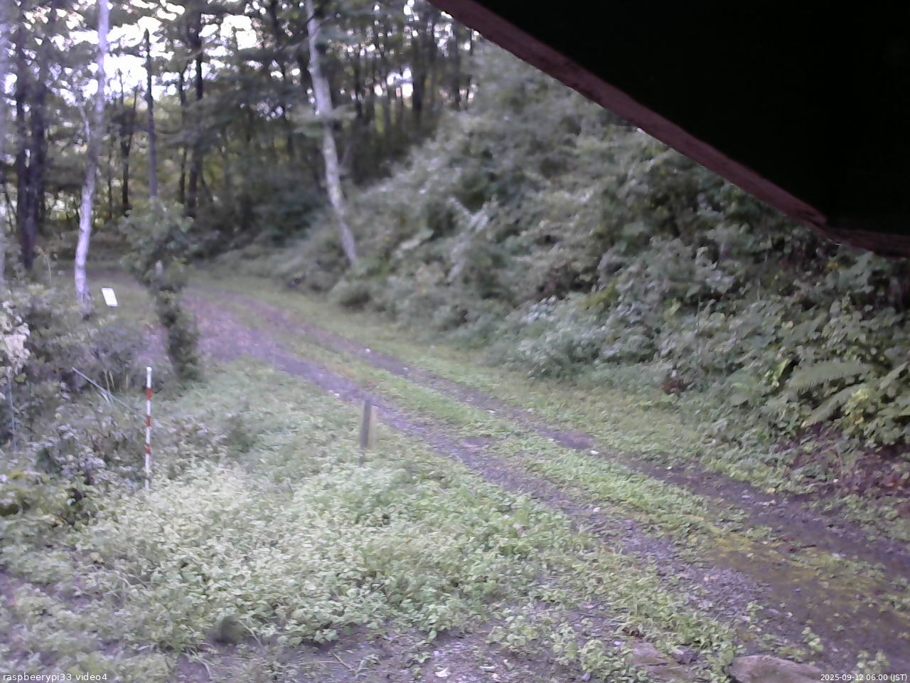 長野県菅平高原 ゆたか山荘 東側(坂下) 2025/09/12 06:00
